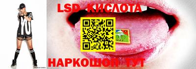 сатива Бузулук