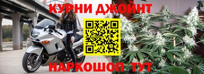 сатива Бузулук
