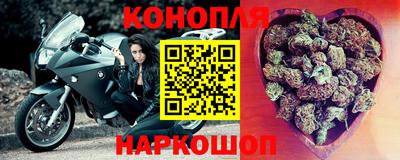сатива Бузулук