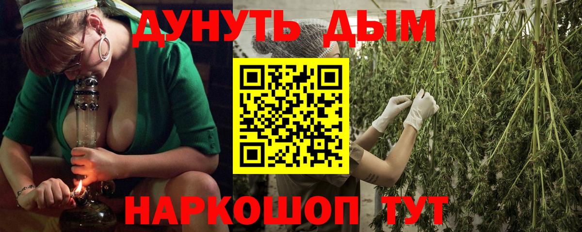 Каннабис OG Kush Шатура